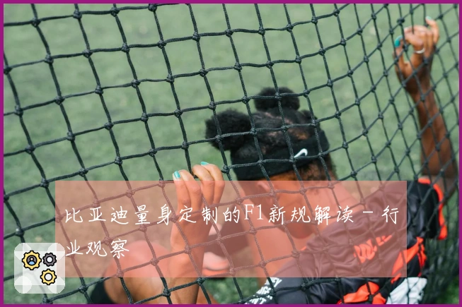 比亚迪量身定制的F1新规解读 - 行业观察